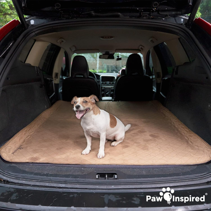 Washable Pee Pads for Dogs