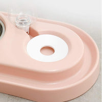 Double Pet Bowls Water and Food Bowl Set
