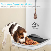 Smart Automatic Cat & Dog Food Dispenser