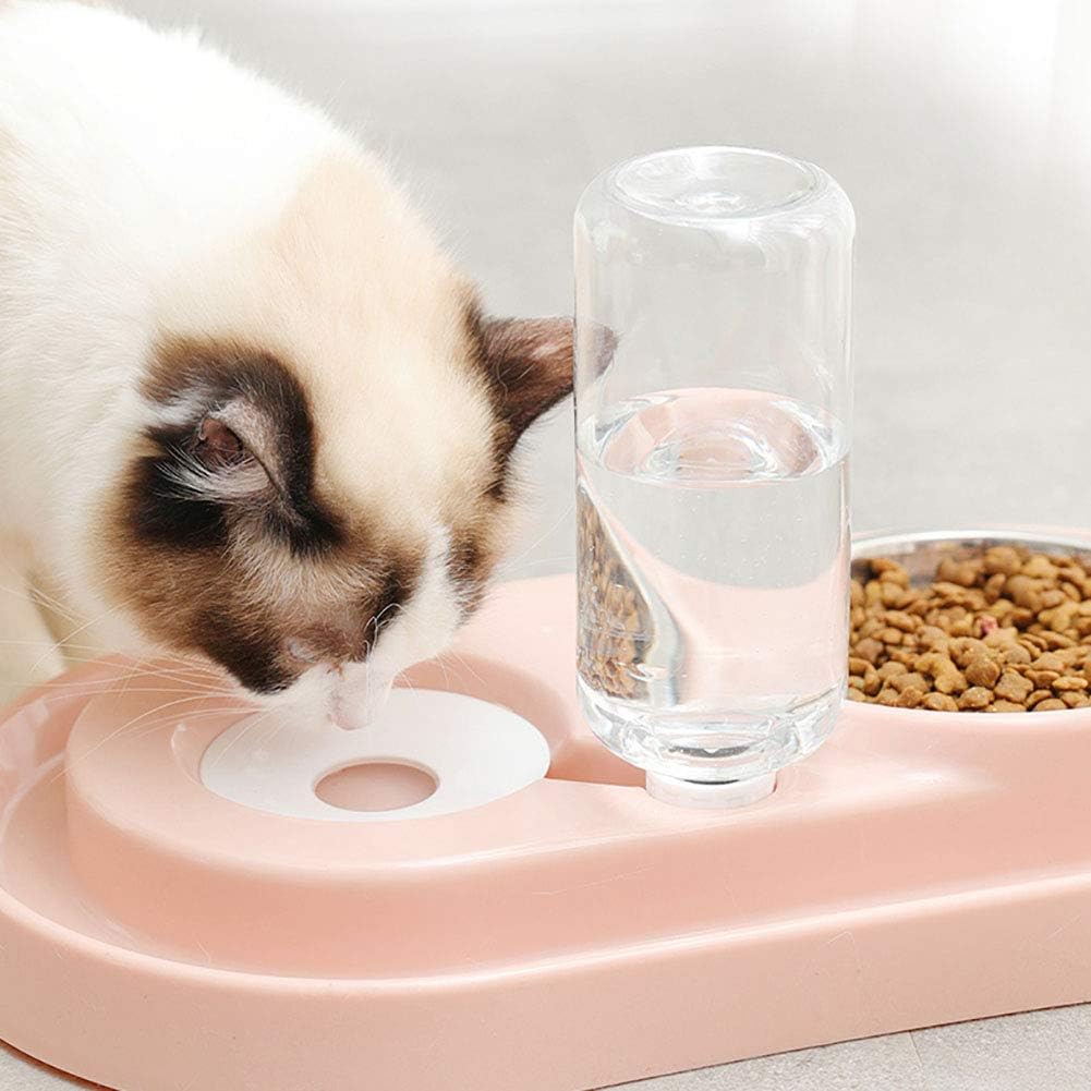 Double Pet Bowls Water and Food Bowl Set