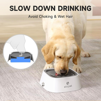 No Drip Slow Water Feeder/Dispenser For Pets