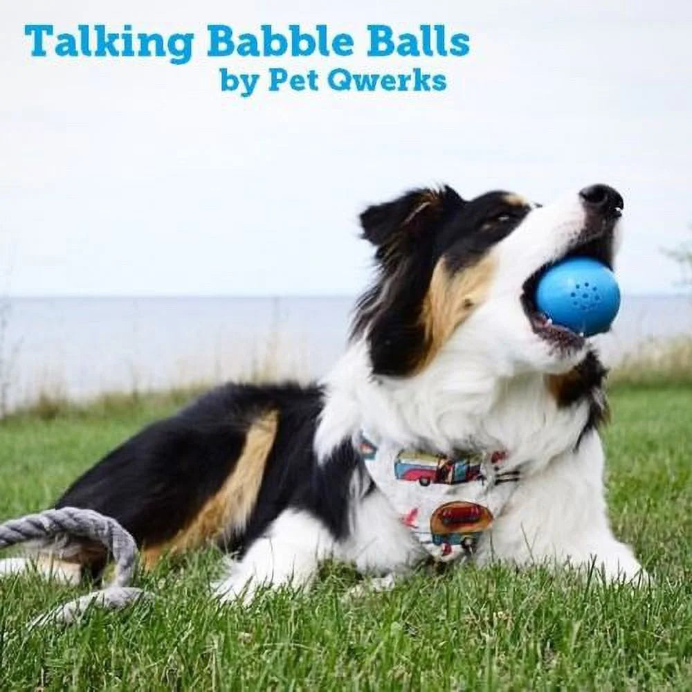 Small Talking Babble Ball Toy for Dogs