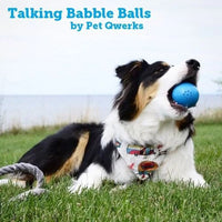 Small Talking Babble Ball Toy for Dogs