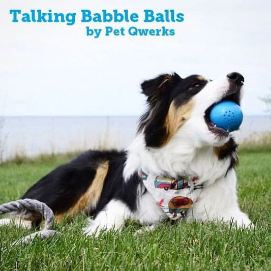 Small Talking Babble Ball Toy for Dogs