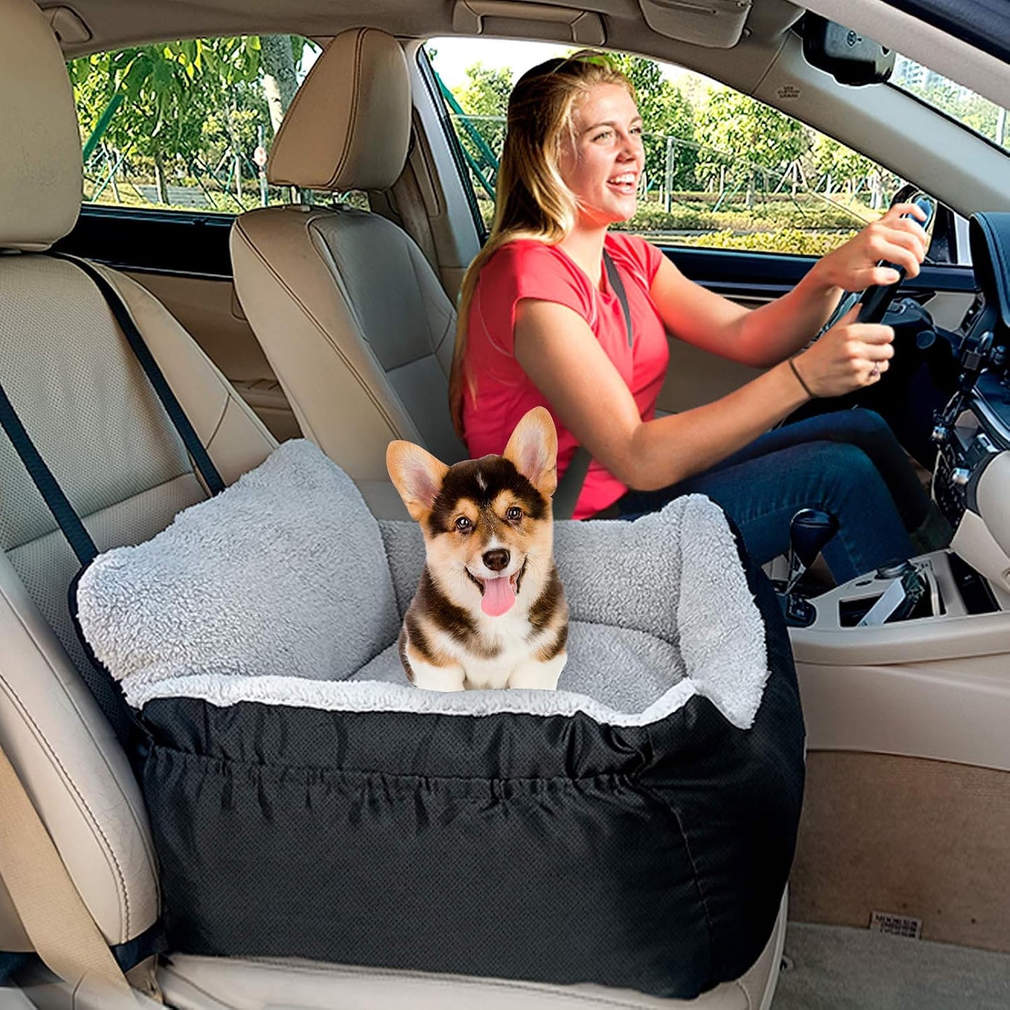 Pet Car Seat