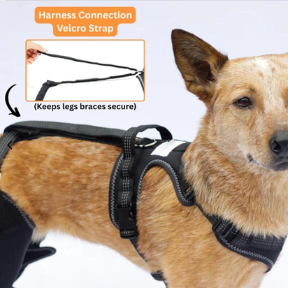 Knee Brace Harness for Dogs, 360° Wrapping Stabilizes the Hind Leg Joints, Dog Knee Brace, Adjustable Support Non-Slip Joint Braces for Back Leg, Protect the Dog'S Hind Legs
