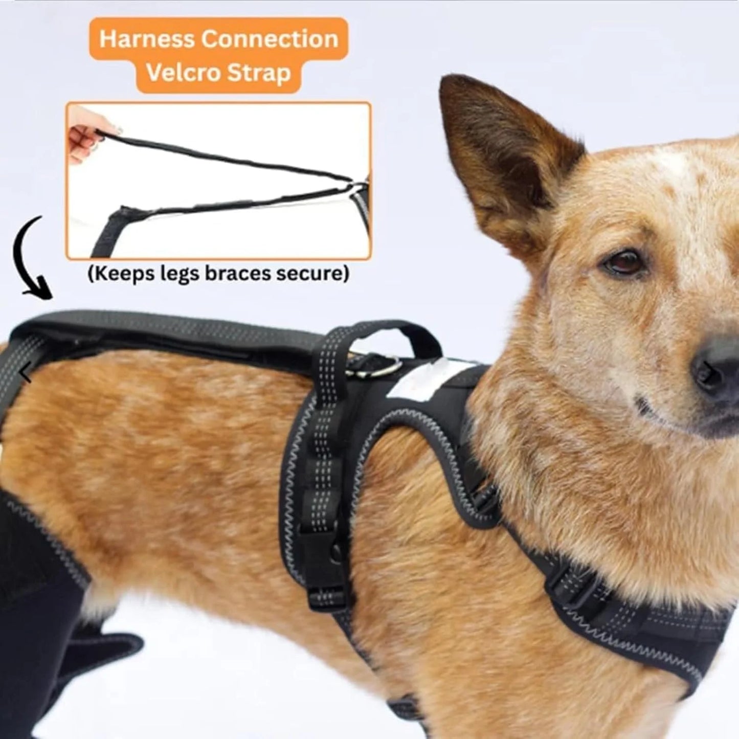 Knee Brace Harness for Dogs, 360° Wrapping Stabilizes the Hind Leg Joints, Dog Knee Brace, Adjustable Support Non-Slip Joint Braces for Back Leg, Protect the Dog'S Hind Legs