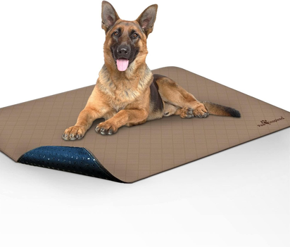 Washable Pee Pads for Dogs