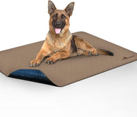 Washable Pee Pads for Dogs
