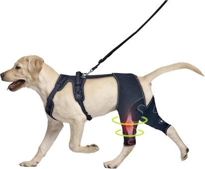 Knee Brace Harness for Dogs, 360° Wrapping Stabilizes the Hind Leg Joints, Dog Knee Brace, Adjustable Support Non-Slip Joint Braces for Back Leg, Protect the Dog'S Hind Legs