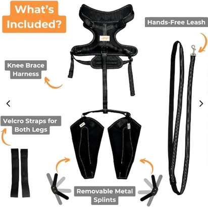 Knee Brace Harness for Dogs, 360° Wrapping Stabilizes the Hind Leg Joints, Dog Knee Brace, Adjustable Support Non-Slip Joint Braces for Back Leg, Protect the Dog'S Hind Legs