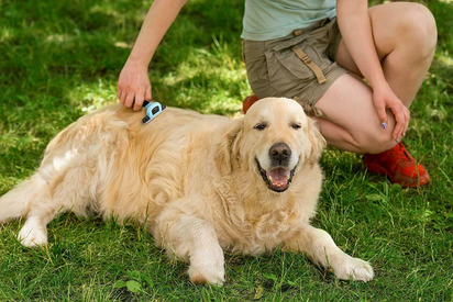 Pet Brush Grooming and Deshedding Tool