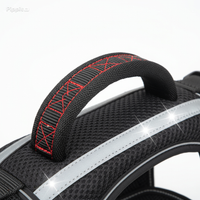 AlphaStride Harness