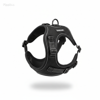 AlphaStride Harness