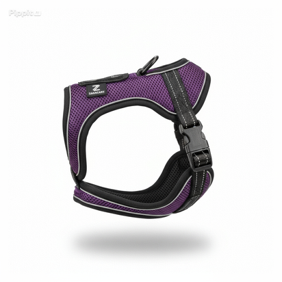 AlphaStride Harness