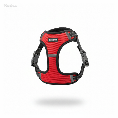 AlphaStride Harness